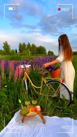 vlog