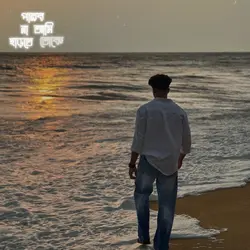 পারবো না আমি ছাড়তে 