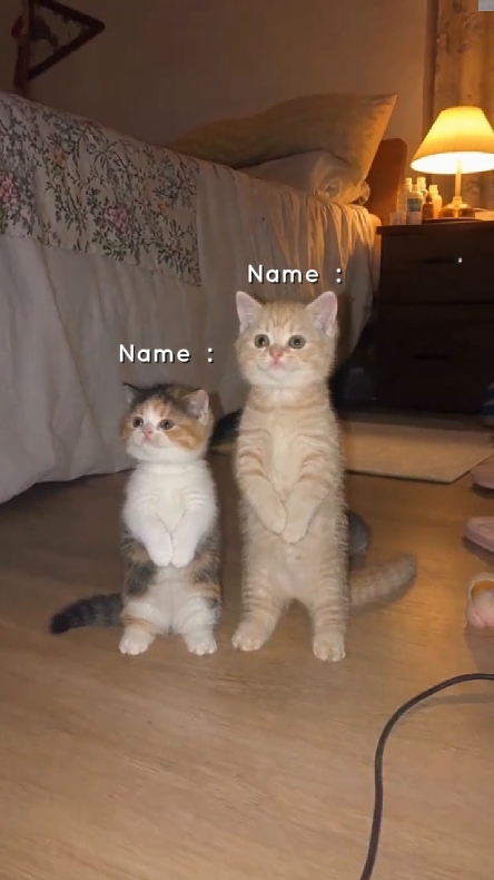 write the name 