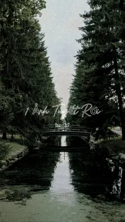 1 ảnh tuyết rơi