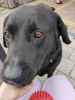 Nela teraz vs kiedyś