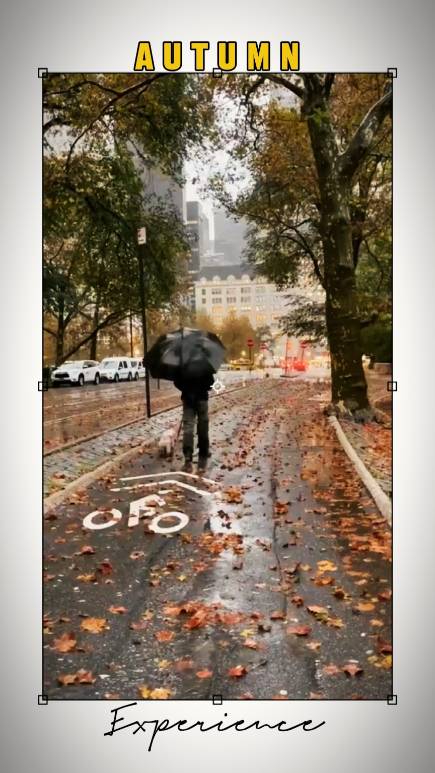 Autumn experience