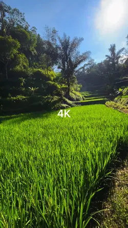 144p vs 4K