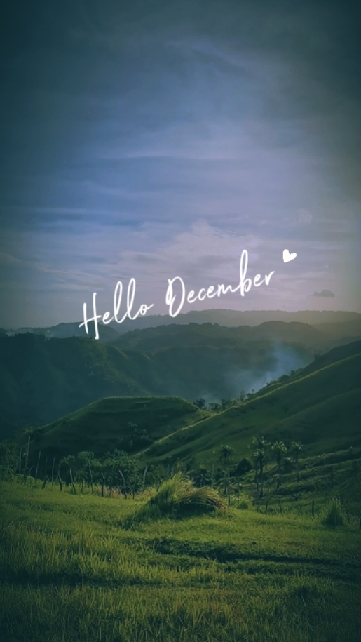 BONJOUR DÉCEMBRE