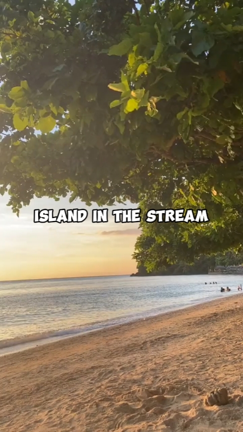 island in the stream