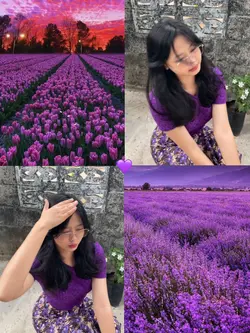 Purple flower