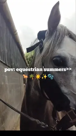 equestrian summer>>