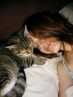 cat