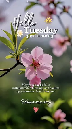 Hello Tuesday 🌸