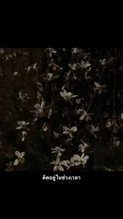 ติดอยู่ในช่วงเวลา