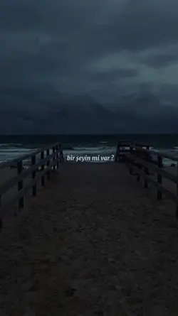 Birşeyin mi var?