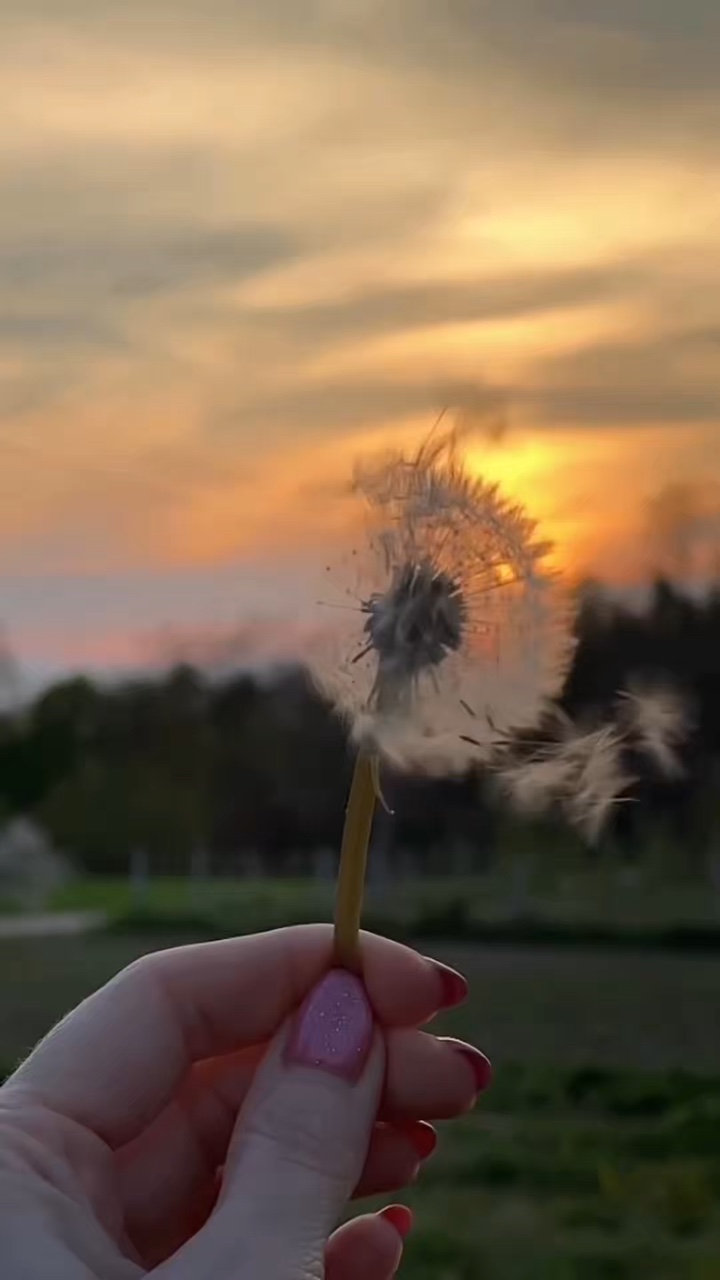 2 video