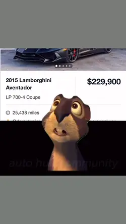 squirrel trade thing