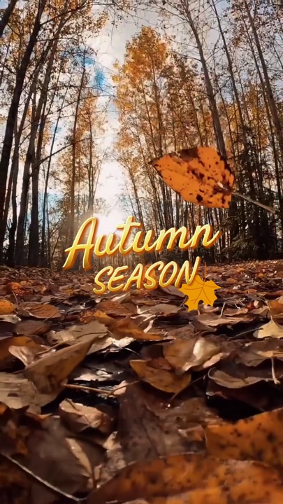 True autumn season