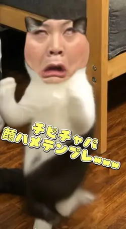 チピチャパニャンコテンプレwww