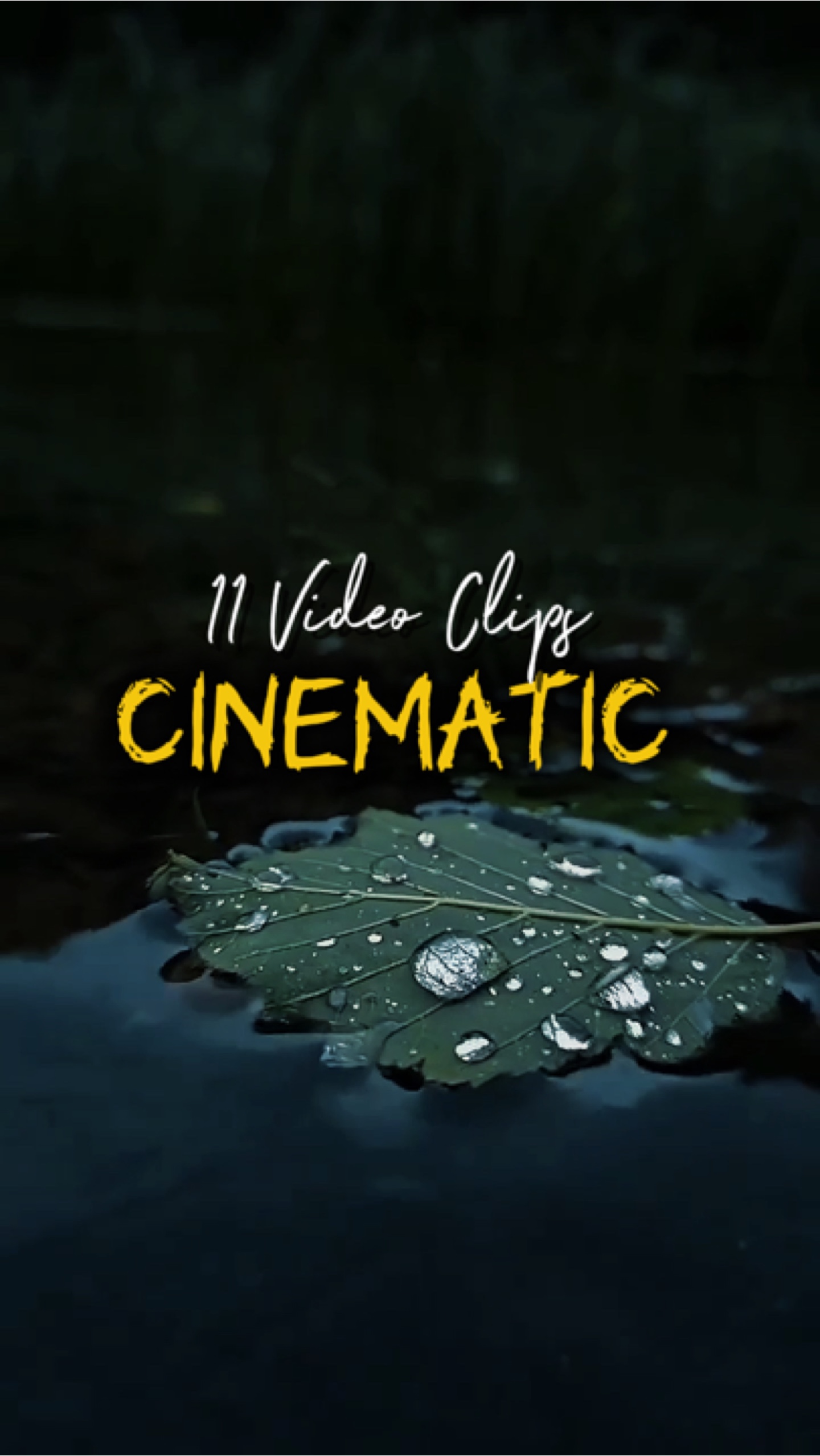 Cinematic 11 Video 