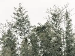 ─ ㅤ𝟰𝟰𝟰 ㅤ. aᥒgel ㅤ혔 