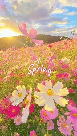 Spring 2026