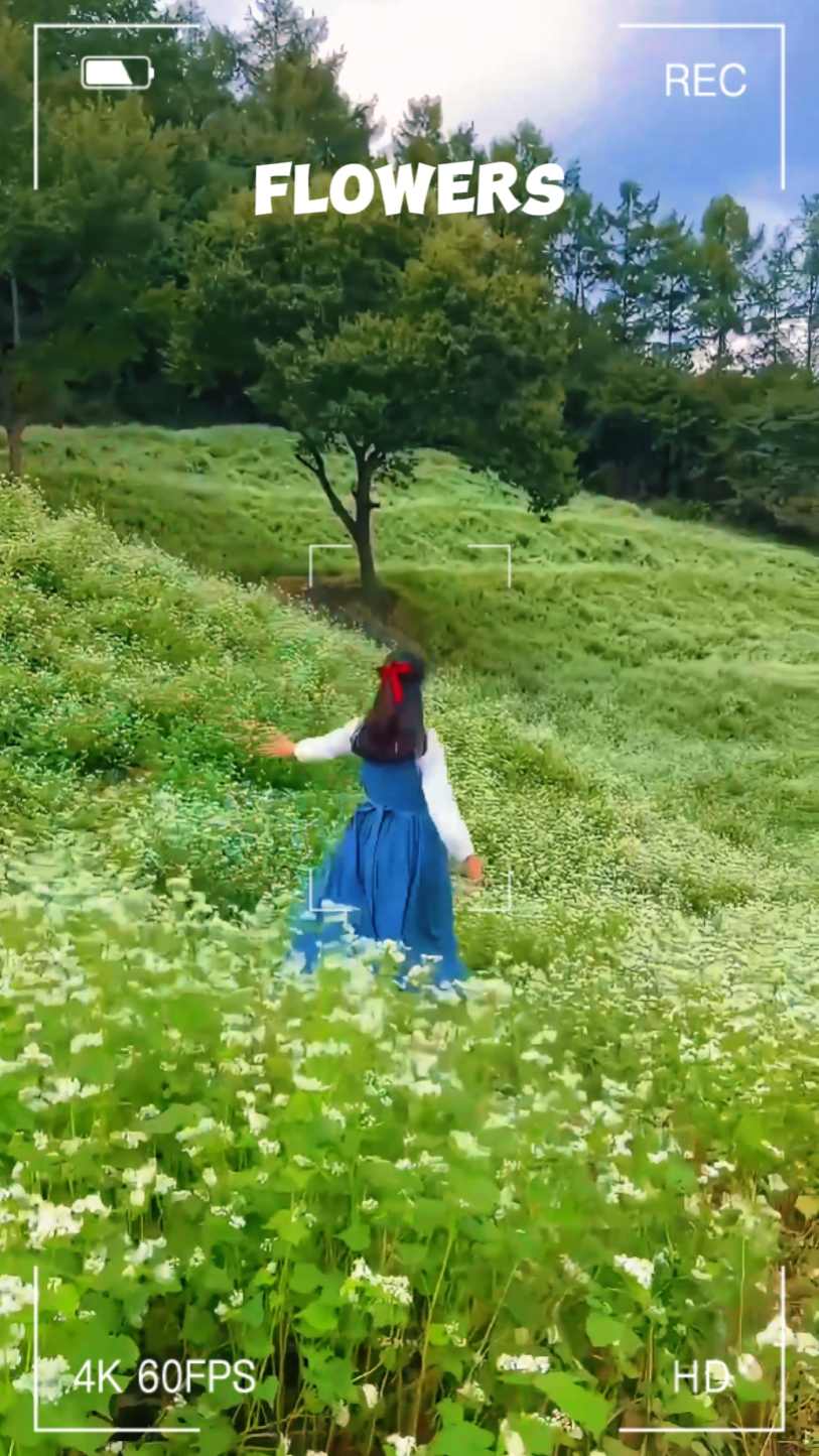 05. Flowers