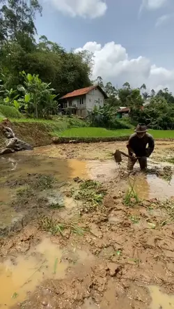 PAK TANI KOES PLUS