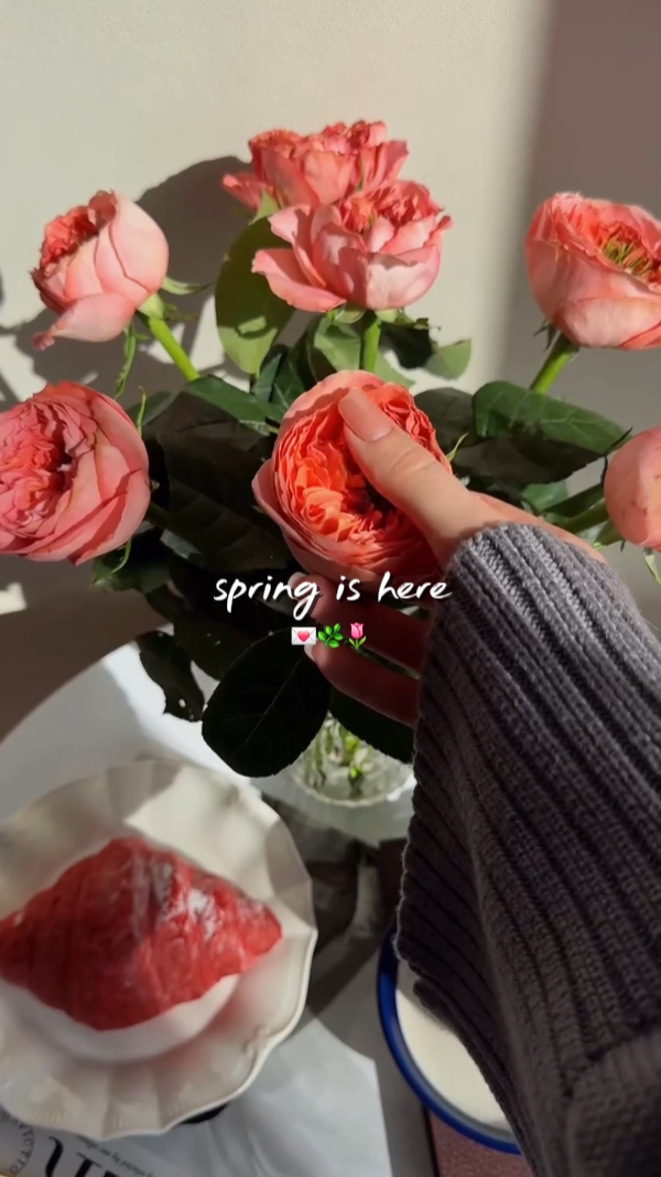 spring is here
