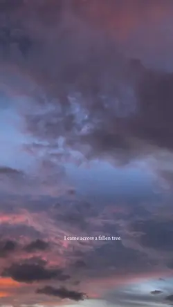 Somewhereonlywewknow