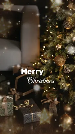 Merry Christmas 🎄