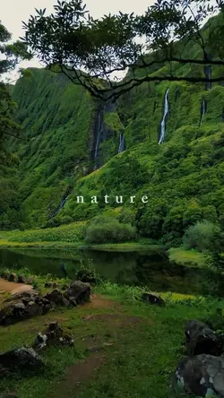 nature