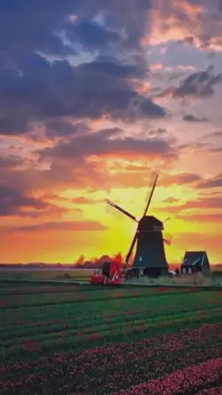 Simple 6 video clips