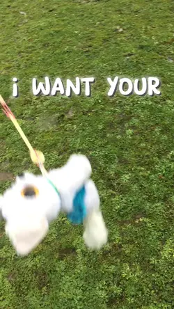 U spin me
