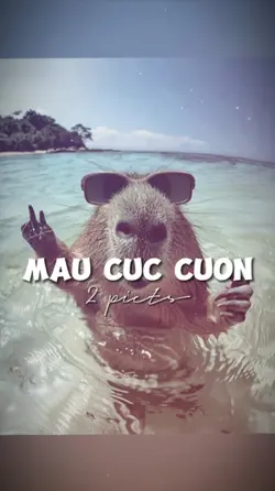 BEAT 2 ẢNH NHẸ NHÀNG