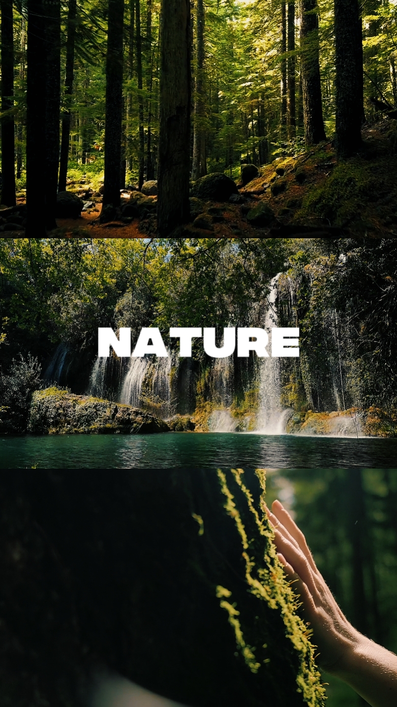 nature cinematic