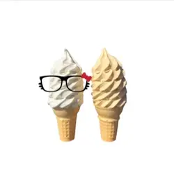 Glasses twin