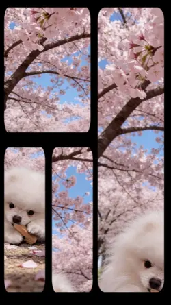 Happy day 