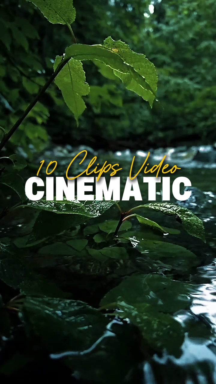 10 clipes de vídeo 