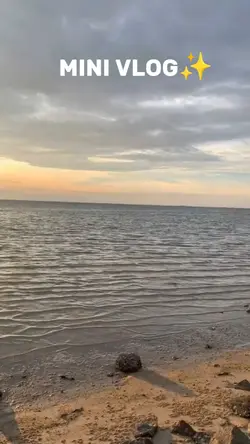 Mini Vlog ^•^