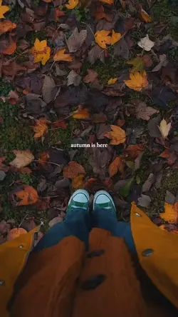 Autumn is here
