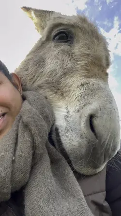 My Farm life🏡
my far