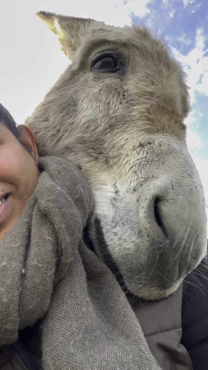 My Farm life🏡
my far