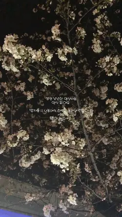 감성 낭낭한 영나