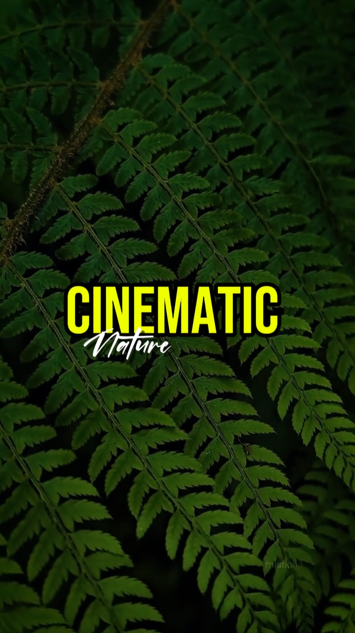 cinematic nature 