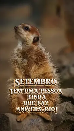 Aniversário setembro