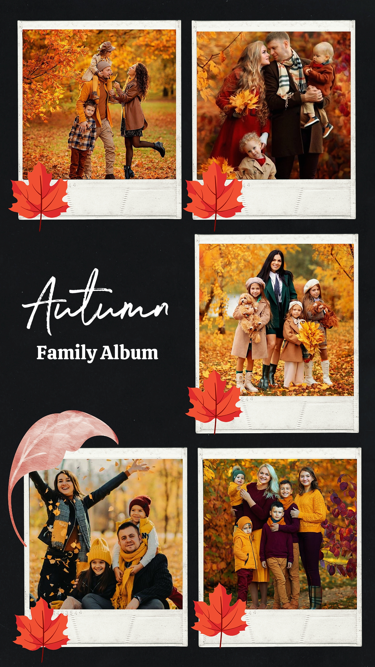 Álbum Família Outono