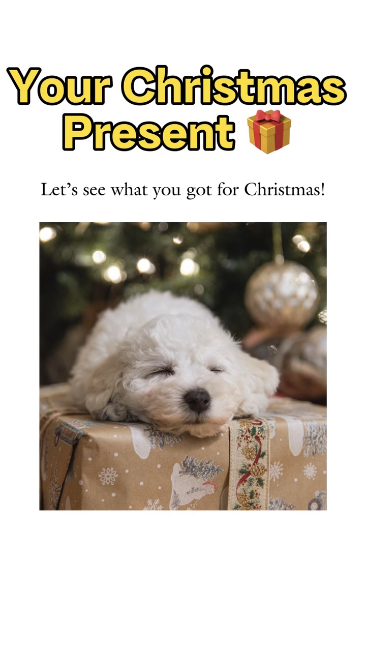 Christmas presents 🎁