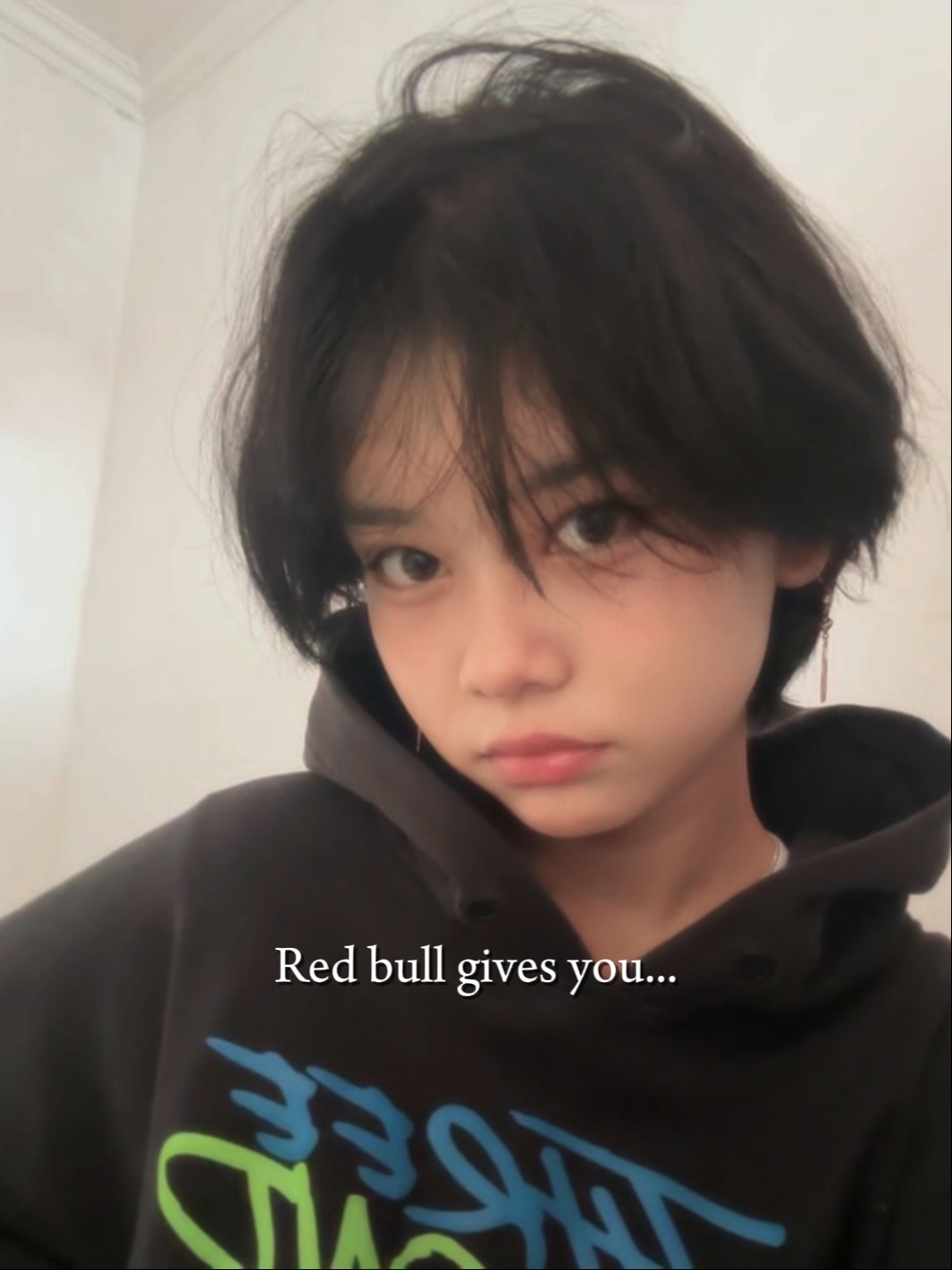 redbul give you wing