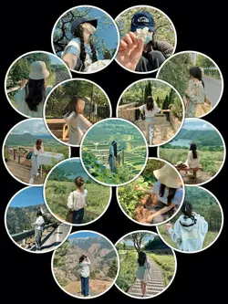 15Pic Clip Aesthetic