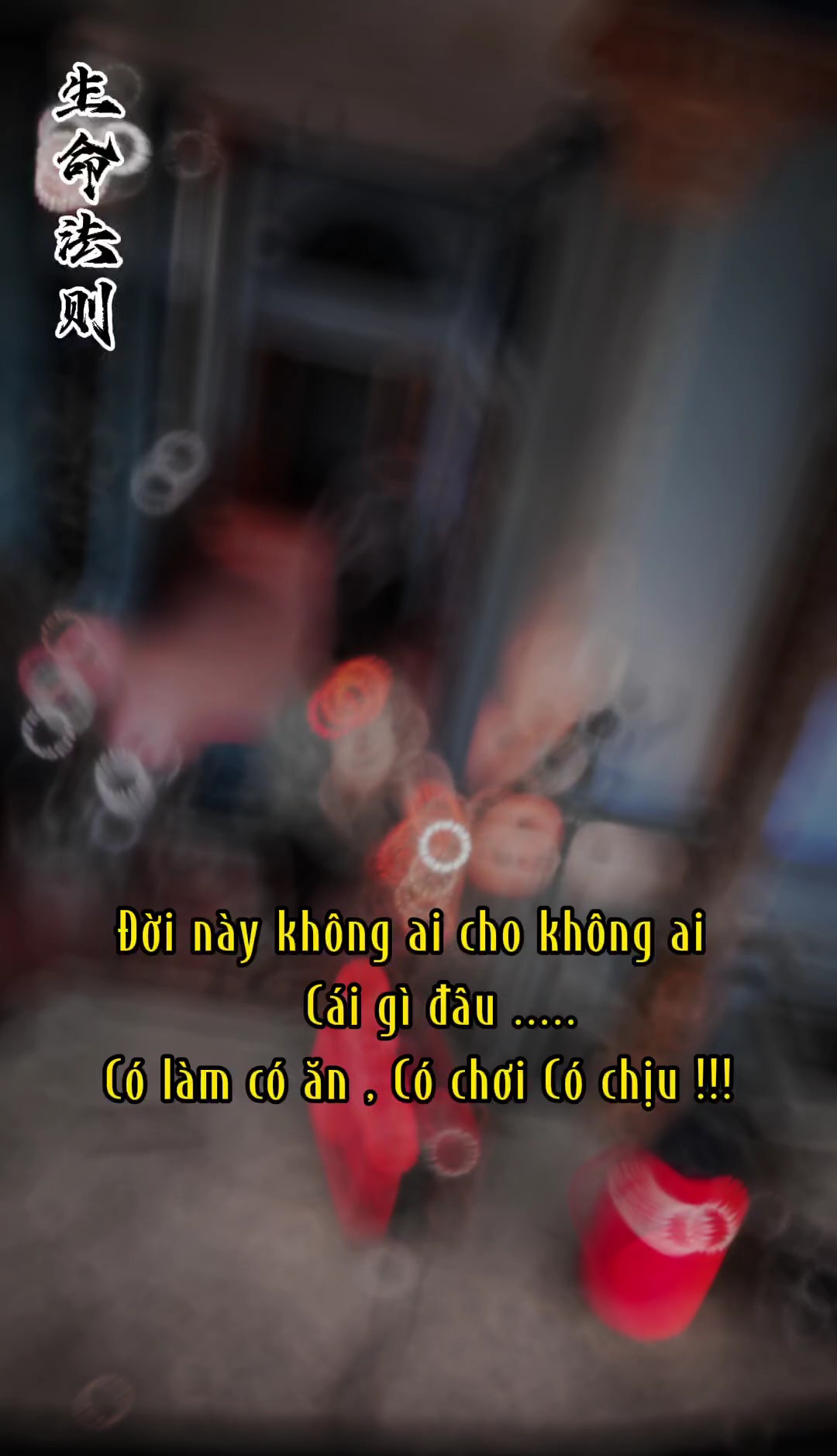 mẫu 1 ảnh 