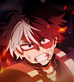 SHOTO TODOROKI