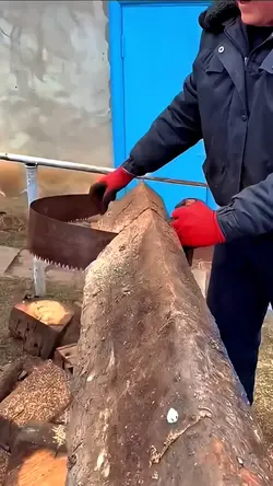 Worlds Fastest Saw🪵 