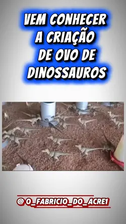criação dino